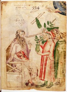 Ms Lat 6823 fol.1 मैनफ्रेडस डे मोंटे इम्पीरियल द्वारा डी हर्बिस से एक अज्ञात आदमी को पौधे भेंट करते द्वारा इतालवी स्कूल