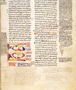 सुश्री मैकलीन 135, f.96r: एक पौधे के रूप-विवरण का इतिहास, प्रारंभिक सी, ग्राटियन्स डेक्रटम से, देर से सदी में द्वारा इतालवी स्कूल