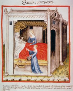 नई चखने 2644 fol.44v जौ सूप, स्वस्थ Tacuinum से द्वारा इतालवी स्कूल