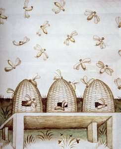 नई 2644 fol.94v Beehives, स्वस्थ Tacuinum से द्वारा इतालवी स्कूल