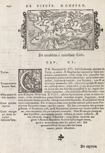 मैगनस Olaus, रोम 1565 (प्रिंट और उत्कीर्णन) द्वारा उत्तरी gentive से पेज 740 पर इतिहास द्वारा इतालवी स्कूल