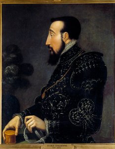 फ्रांस के हेनरी द्वितीय राजा का पोर्ट्रेट (1519-1559) इतालवी स्कूल की पेंटिंग। 16 वीं शताब्दी। सूर्य 0,58x0,46 मीटर चान्तिली, संग्रहालय कोंडे द्वारा इतालवी स्कूल