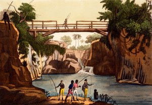 सैन बेनेडेटो के पास नदी रोकी, मेडागास्कर के आइल, Giulio Ferrario, C.1820s-30s द्वारा ... द्वारा इतालवी स्कूल