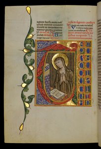  द्वारा इतालवी स्कूल