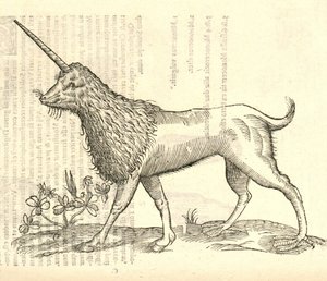 एल्डरोवैन्डिस हिस्ट्री ऑफ मॉन्स्टर्स, 1642 से कैम्फर्च का चित्रण द्वारा इतालवी स्कूल