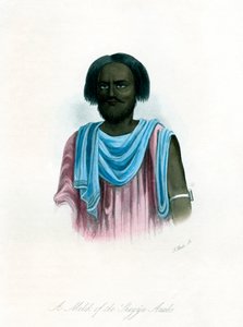 शेगिया अरबों का एक मेल, c1840। द्वारा जे बुल