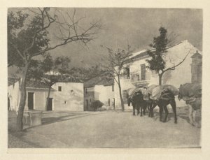  द्वारा जे क्रेग अन्नान