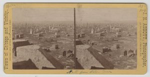 1871 के शिकागो फायर के बाद पानी के टॉवर से उत्तर-पश्चिम का दृश्य द्वारा जेएच एबॉट
