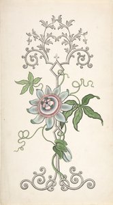 पैशन फ्लॉवर पर केंद्रित पैनल सजावट के लिए डिजाइन, 1828-40। द्वारा जे हुल्मे