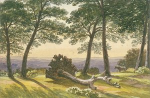 हैम्पस्टेड हीथ, लंदन, c1830 द्वारा जे पॉवेल