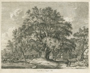 ब्लिथफील्ड - विच एल्म: नक़्क़ाशी, 1825 द्वारा जैकब जॉर्ज स्ट्रैट