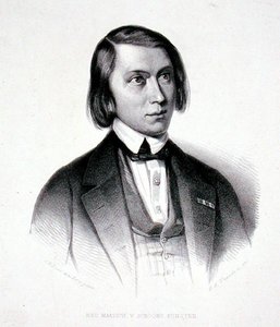 जोसेफस हरमनस वेरहुल्स्ट का पोर्ट्रेट (1816-91) (उत्कीर्णन) द्वारा जेकोबस एवरर्डस जोसीफस वैन डेन (बाद में) बर्गो