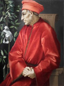  द्वारा जैकोपो पोंटॉर्मो