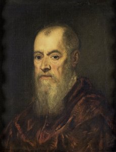 1555-80 के लाल लबादे के साथ एक आदमी का चित्रण द्वारा जैकोपो रोबुस्टी टिंटोरेटो