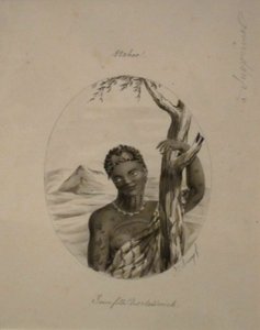  द्वारा जाक अरगो