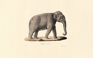  द्वारा 