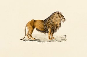  द्वारा 