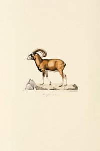  द्वारा 
