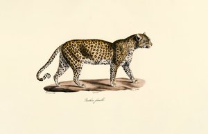  द्वारा 