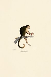  द्वारा 