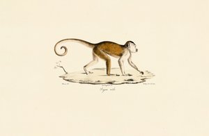 द्वारा 