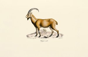  द्वारा 