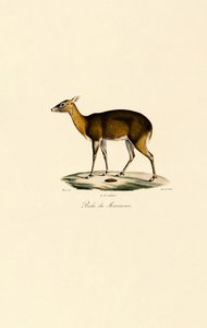  द्वारा 