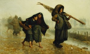 शैल कलेक्टरों; शेलफिश हार्वेस्टर,