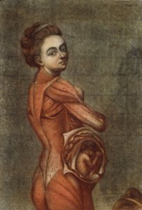 एक गर्भवती महिला के रंग में शारीरिक चित्रण, 1778