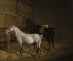 एक ग्रे टोंटी और एक काला चार्जर एक स्थिर (कैनवास पर तेल) में द्वारा जैक्स लॉरेंट अगासे