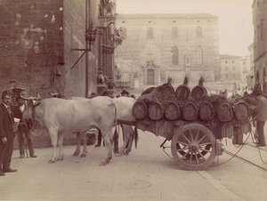 बैलों के साथ वैगन, पेरुगिया, 1880।