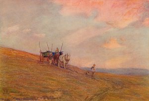 डाउन्स नियर हार्टिंग पर, c1870-1906, 1906।