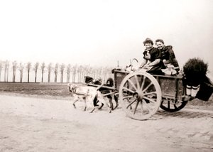 एक गाड़ी पर महिलाओं को खींचते कुत्ते, एंटवर्प, 1898। द्वारा जेम्स बैटकिन
