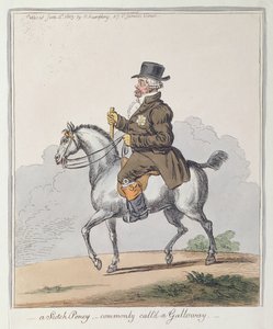 एक स्कॉच पोनी, जिसे आमतौर पर गैलोवे कहते हैं, 1803 में हन्ना हम्फ्री द्वारा प्रकाशित किया गया था (हाथ से रंग की नक़्क़ाशी