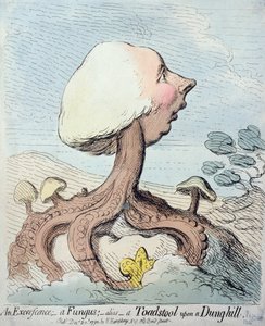 एक बहिष्करण; एक कवक; अलियास - एक टुंगस्टूल ऑन द डंग-हिल, 1791 में हन्ना हम्फ्री द्वारा प्रकाशित (wc के साथ नक़्क़ाशी)