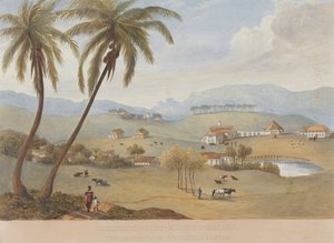  द्वारा जेम्स हकीविल