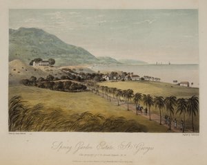  द्वारा जेम्स हकीविल