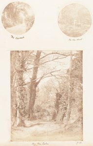 द एप्रोच, इन द वुड, बाय द लेक, 1853-56।