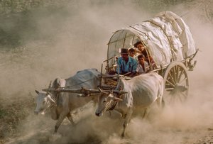  द्वारा जेम्स एल स्टैनफील्ड