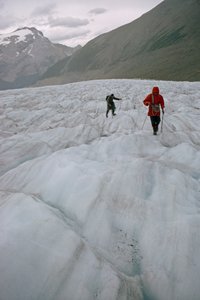  द्वारा जेम्स एल स्टैनफील्ड