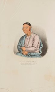  द्वारा जेम्स ओटो लुईस