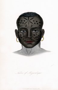 मोजाम्बिक के मूल निवासी, c1850। द्वारा जेम्स प्रिचर्ड