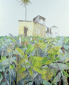 Ruin in a Swamp, हैती, 1971 द्वारा जेम्स रीव