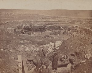 हरा निपल द्वारा जेम्स रॉबर्टसन