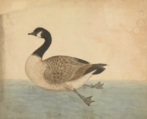  द्वारा जेम्स सोवरबी