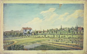 विलियम कर्टिस का वनस्पति उद्यान, लैम्बेथ मार्श, c.1787 (कागज पर जल रंग) द्वारा जेम्स सोवरबी