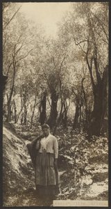  द्वारा जेम्स डब्ल्यू. होलकोम्ब