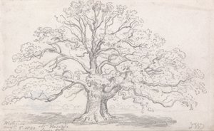 मिस्टर हॉवर्ड की लार्ज ओक, 5 अगस्त, 1820 द्वारा जेम्स वार्ड
