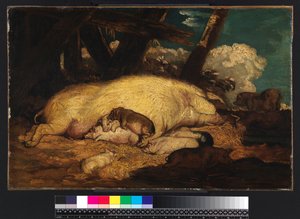 सूअर, 1793 से पहले नहीं द्वारा जेम्स वार्ड