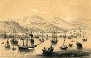 अमॉय, ब्रिटिश वाणिज्य, 1847 के अंत में हुई संधि द्वारा खोले गए पांच बंदरगाहों में से एक है।